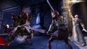 DragonAge Origins Screens 250810 3